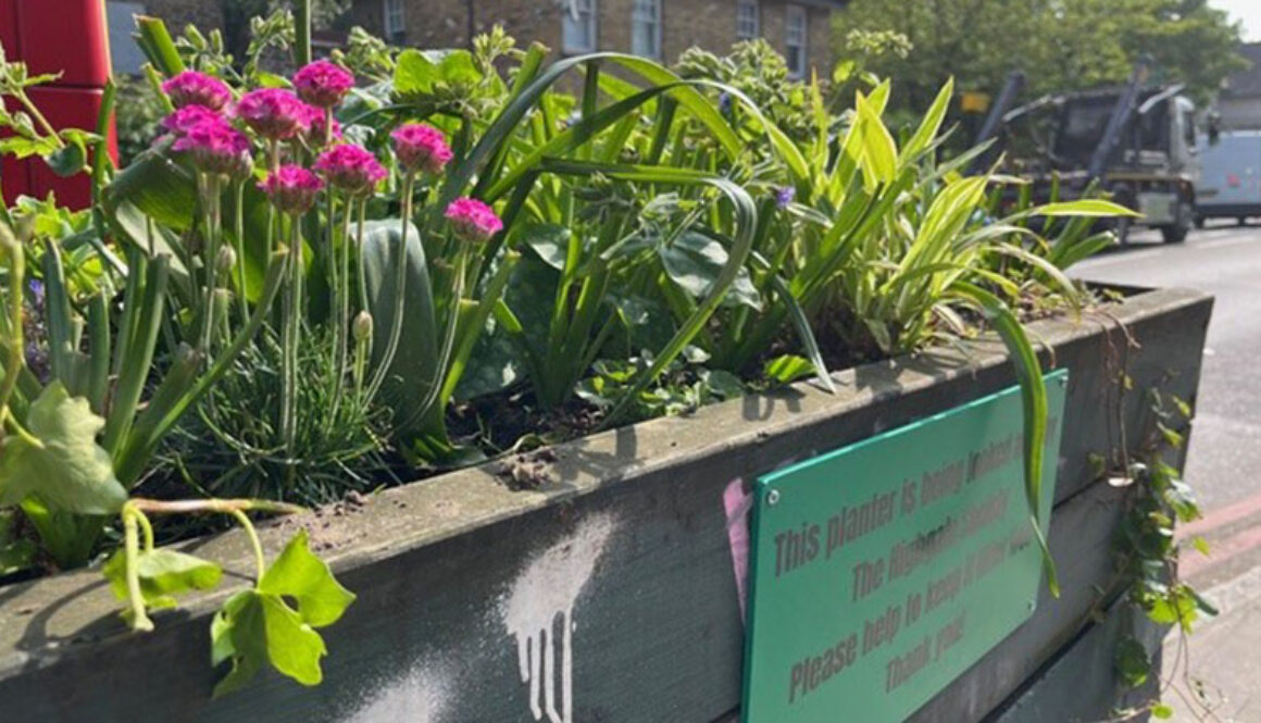 Archway road mini garden for web