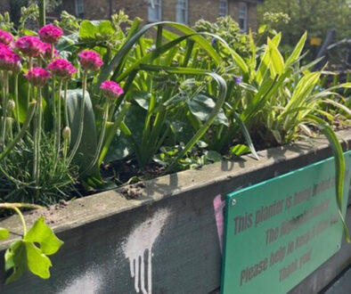 Archway road mini garden for web