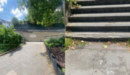 paving steps composite for web