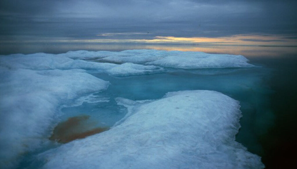 Arctic photo 1 for web