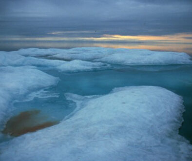 Arctic photo 1 for web