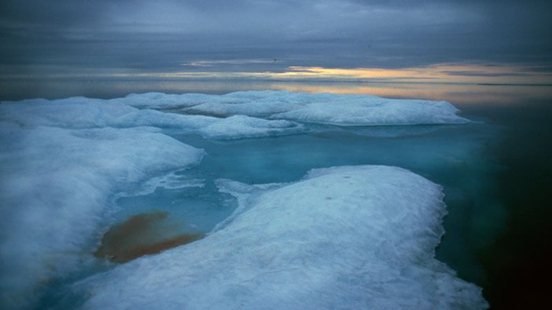 Arctic photo 1 for web