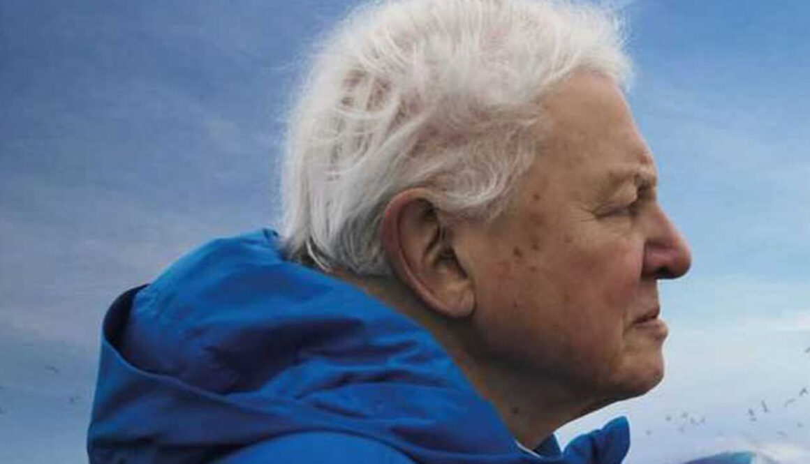 Ocean-David-Attenborough-film-poster-crop for web