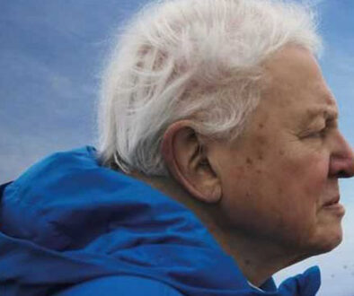 Ocean-David-Attenborough-film-poster-crop for web