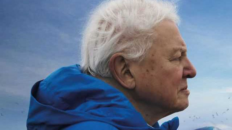 Ocean-David-Attenborough-film-poster-crop for web