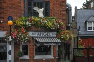Around Highgate 02
