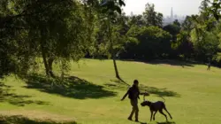 walking in waterlow