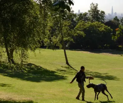 walking in waterlow